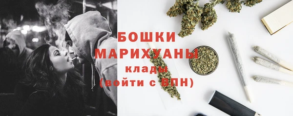 шишки Балабаново