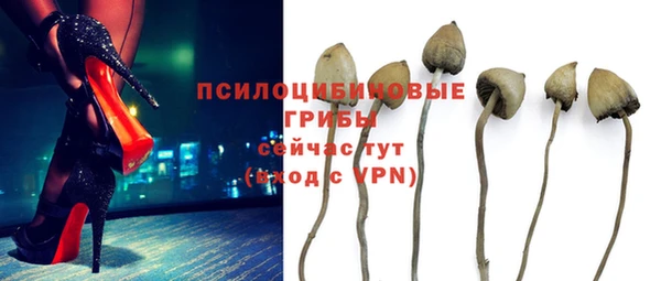 а пвп мука Баксан