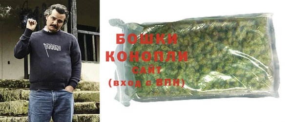 шишки Балабаново