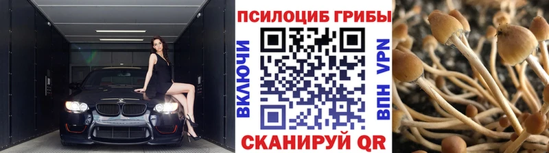 Псилоцибиновые грибы прущие грибы  Купить  Урус-Мартан 